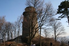 20120310_Odstránenie_náletových_drevín