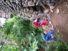 dscn0355